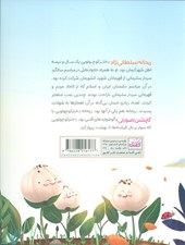 کتاب خواب دانه ها