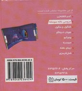 کتاب عروسی خاله سوسکه (جیبی)