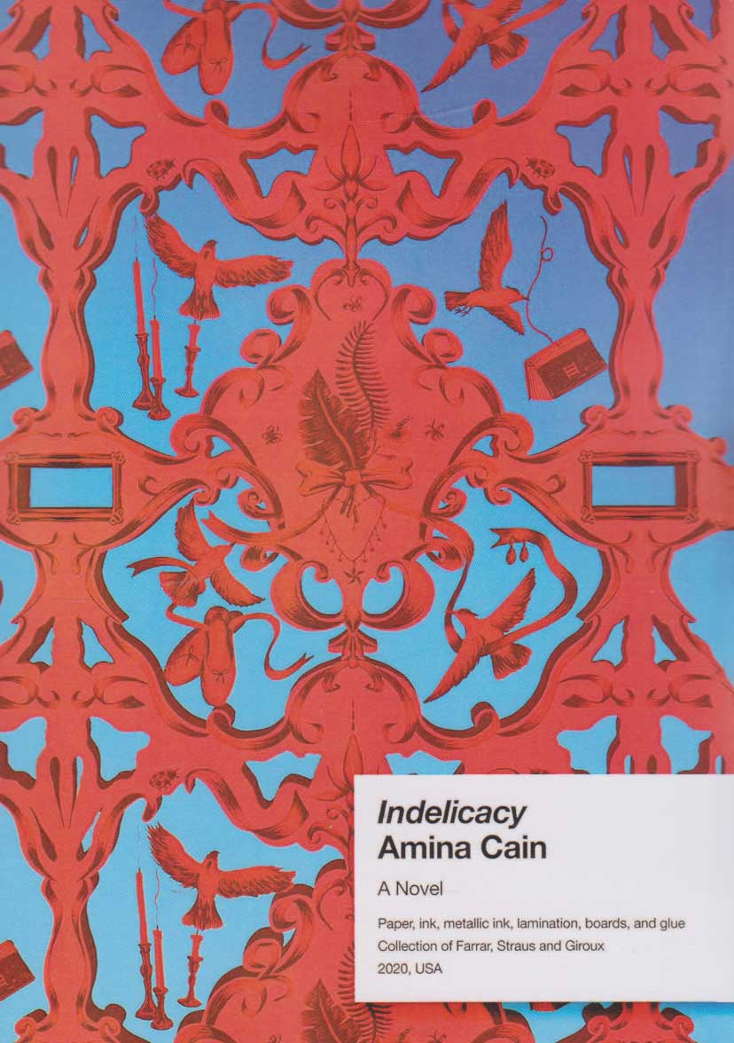  کتاب Indelicacy