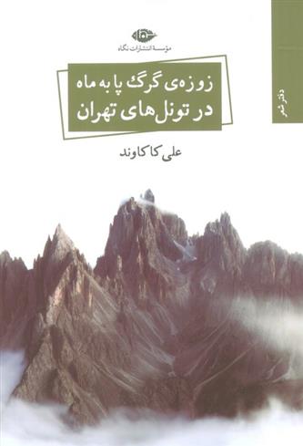 کتاب زوزه ی گرگ پا به ماه در تونل های تهران;