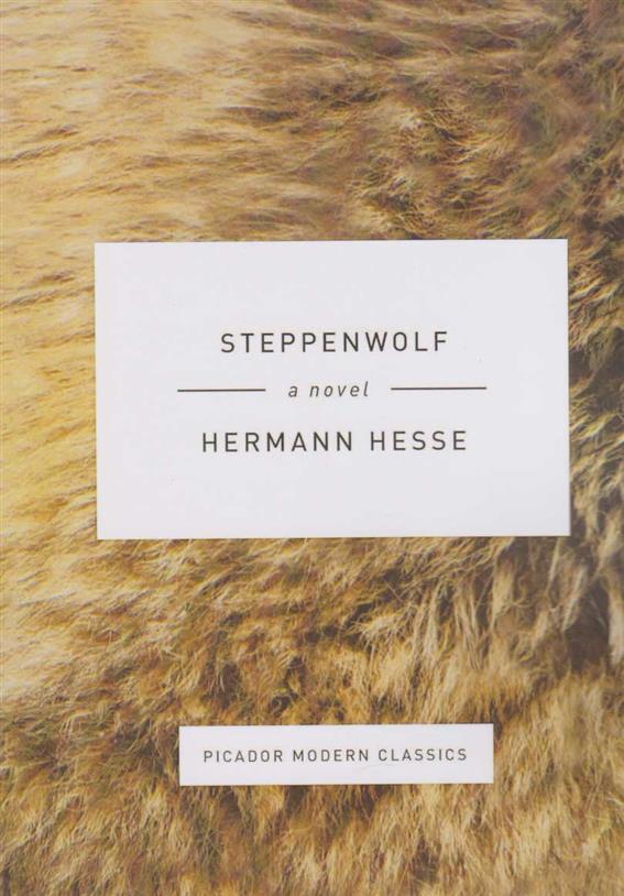 کتاب Steppenwolf;