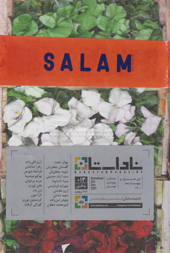 کتاب مجله ناداستان 13 (وطن);