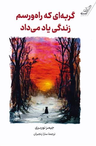 کتاب گربه ای که راه و رسم زندگی یاد می داد;