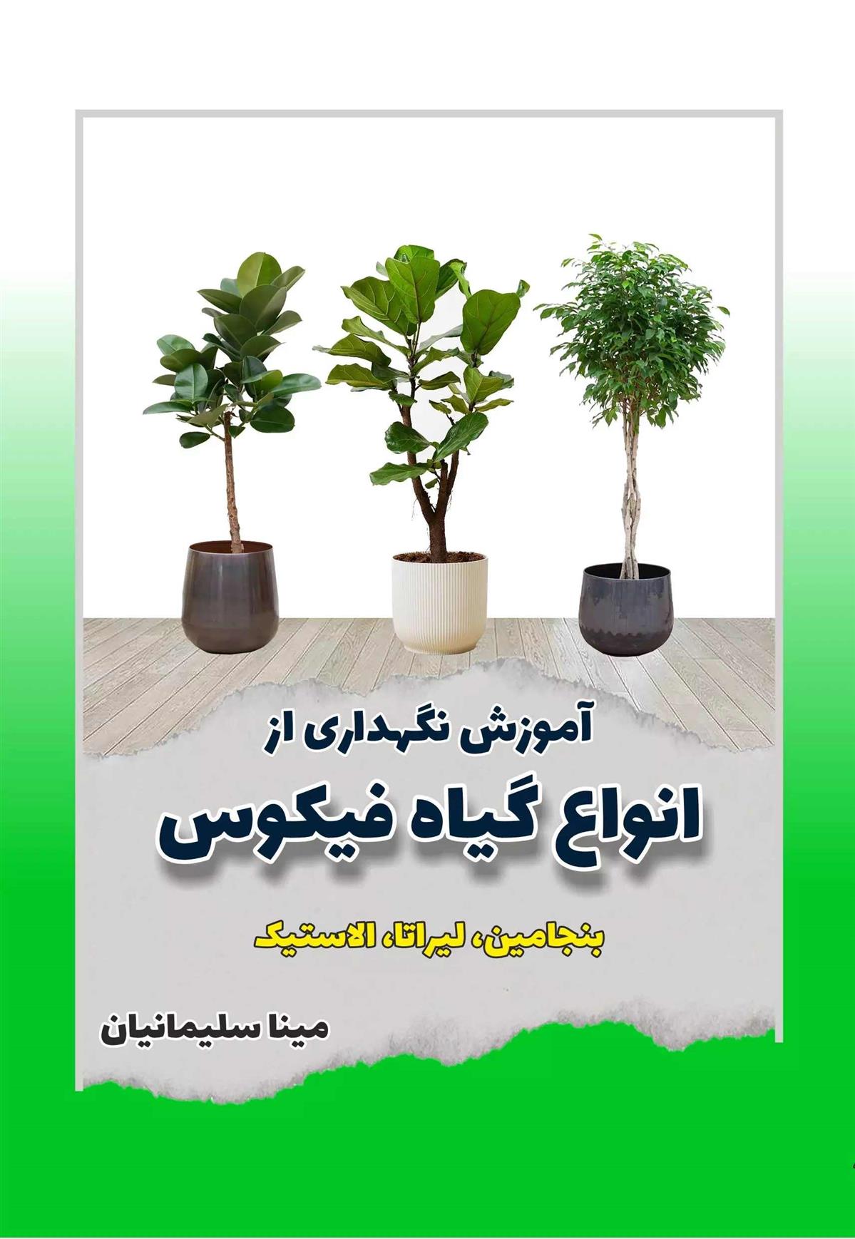 کتاب آموزش نگهداری از انواع گیاه فیکوس;